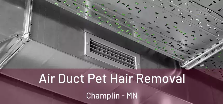 Air Duct Pet Hair Removal Champlin - MN