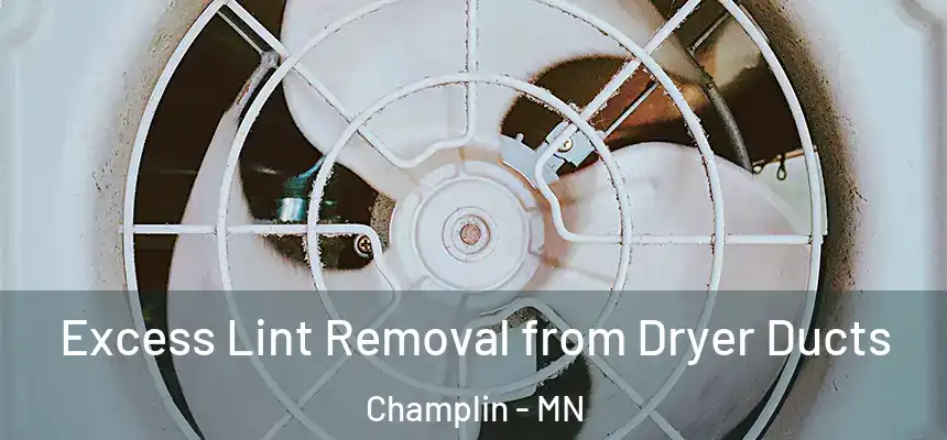 Excess Lint Removal from Dryer Ducts Champlin - MN