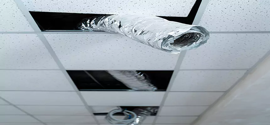 Affordable HVAC Sanitizing After Pest Removal in Champlin