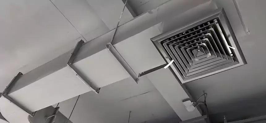 Restorative Allergy Relief Vent Cleaning – Coil, Blower & Housing Detail in Champlin