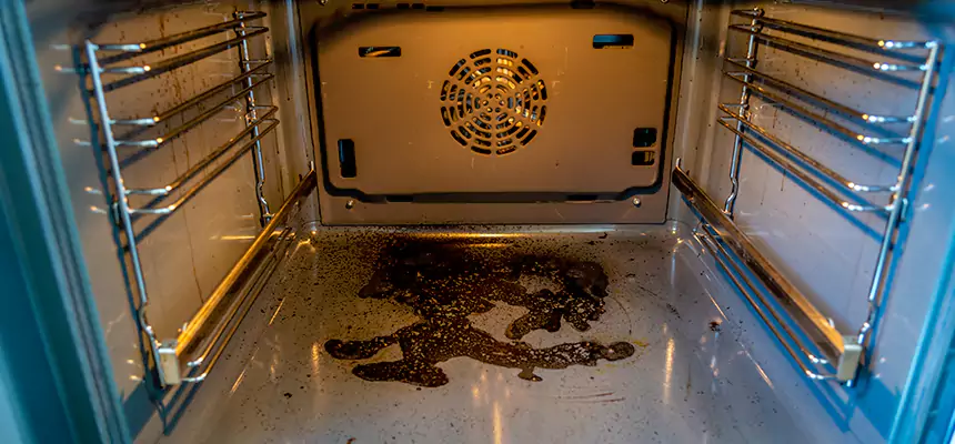 Our Dryer Vent Mold Cleaning Services in Champlin, MN