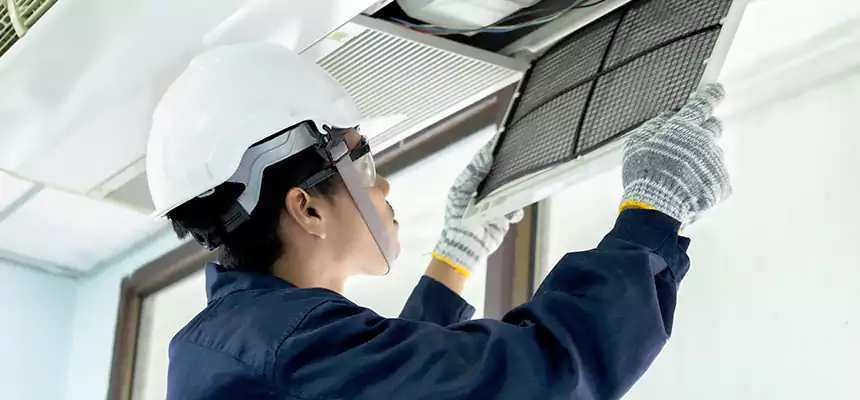 Our Mold & Mildew Removal from Air Ducts Services in Champlin, MN