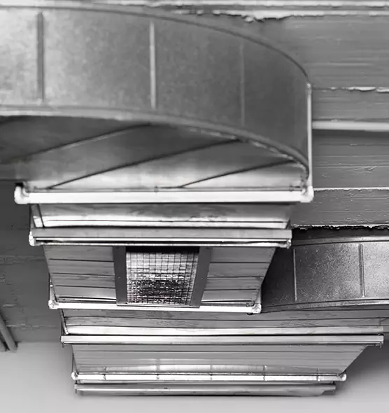 Professional Air Duct Pet Hair Removal in Champlin, MN