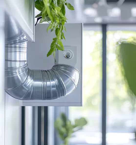 Professional Eco-Safe Dryer Vent Cleaning in Champlin, MN