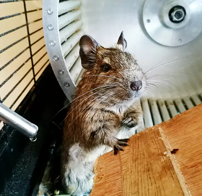 Why Homeowners & Businesses Trust Us Champlin, MN?