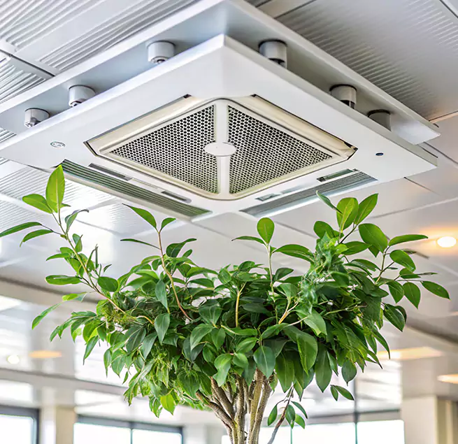 Why Homeowners & Businesses Trust Us in Champlin, MN?